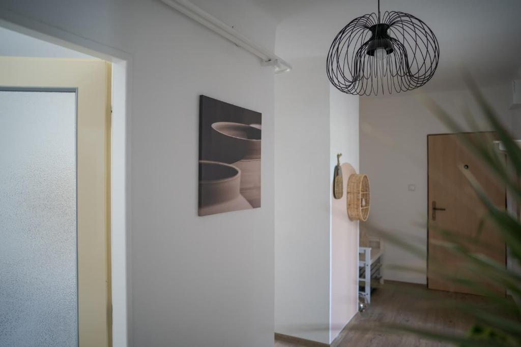 Fotografie z fotogalerie ubytování Velký apartmán V Pralese Šumava v Lenoře