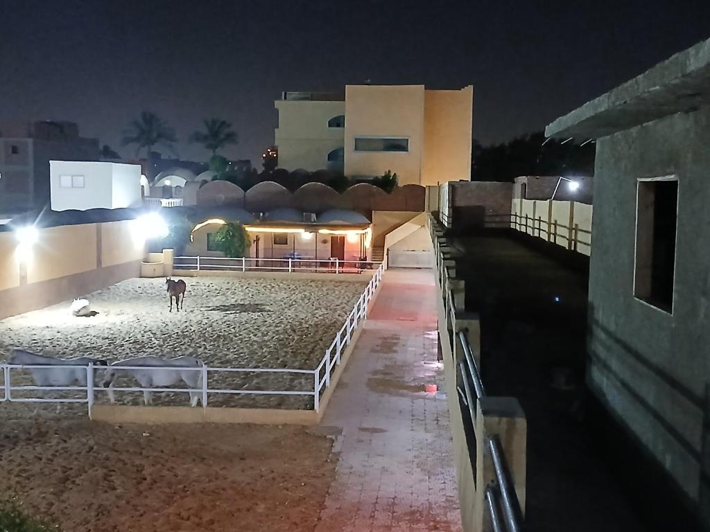 Fotografie z fotogalerie ubytování Eastern Oasis Motel & Horse Farm v Káhiře