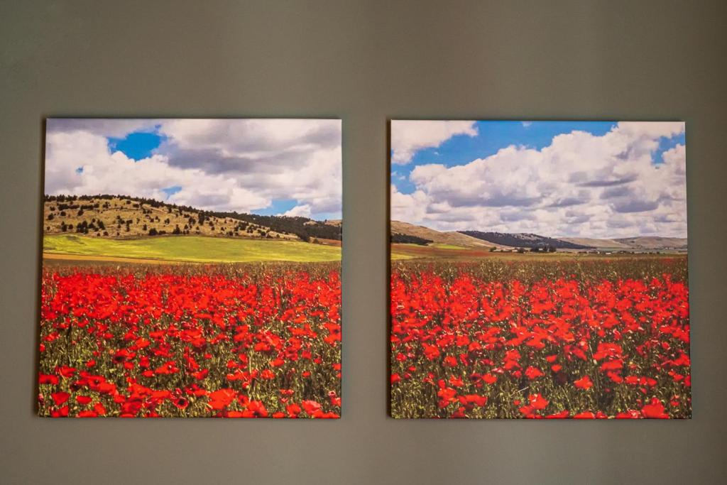 Fotografie z fotogalerie ubytování ArcoLoBello B&B ApartHotel v destinaci Corato
