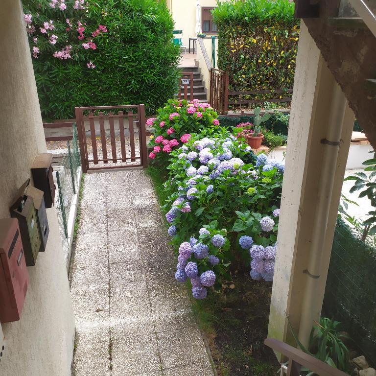 Apartment Santa Maria - Housity