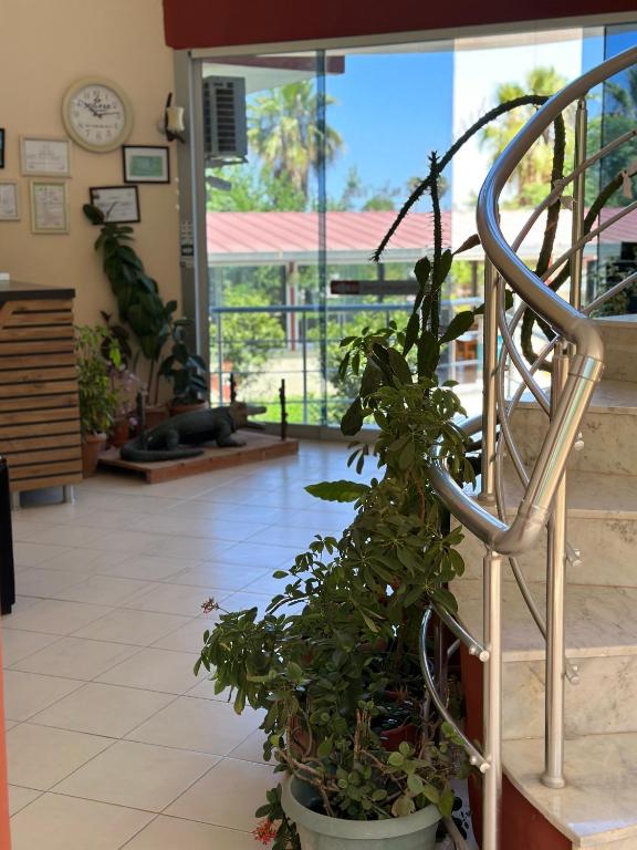 Fotografie z fotogalerie ubytování Adrasan Yazıcı Hotel v destinaci Adrasan