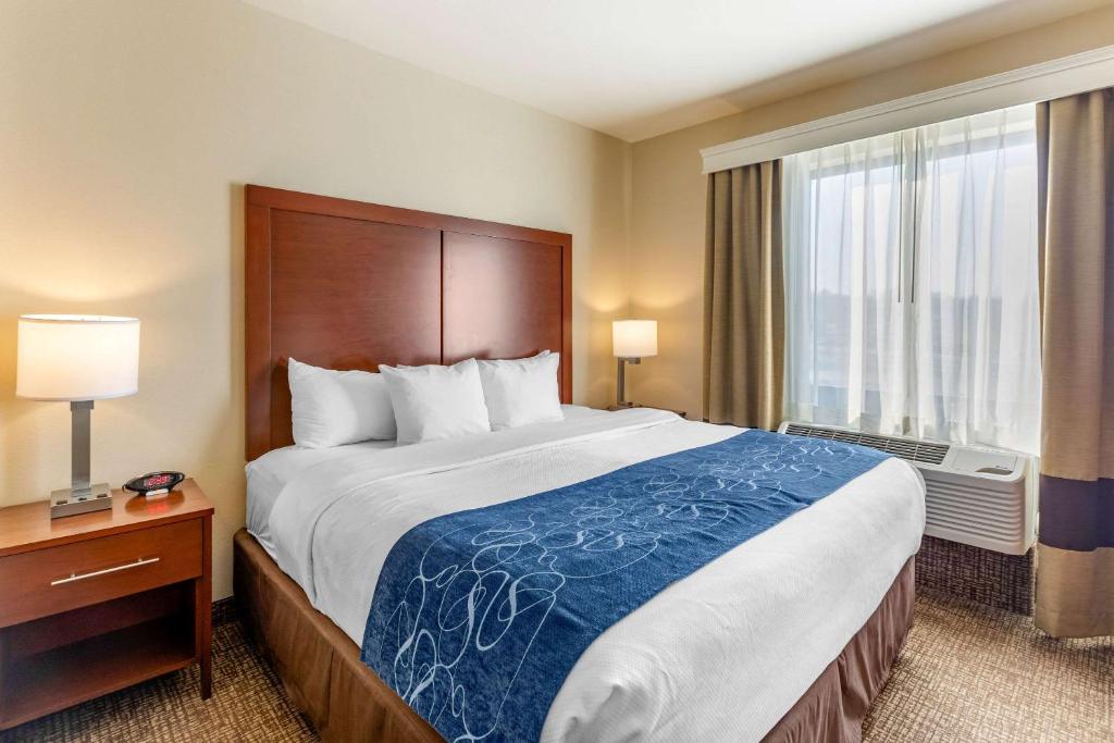 Comfort Suites Near Denver Downtown - 