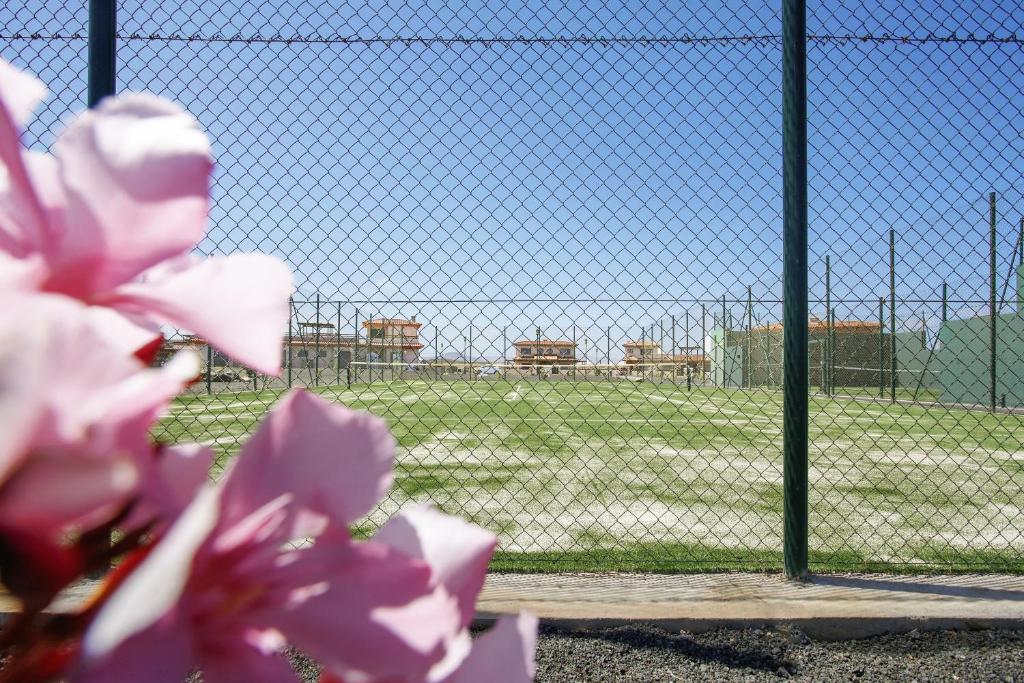 Fotografie z fotogalerie ubytování Villa Manuela v destinaci Lajares