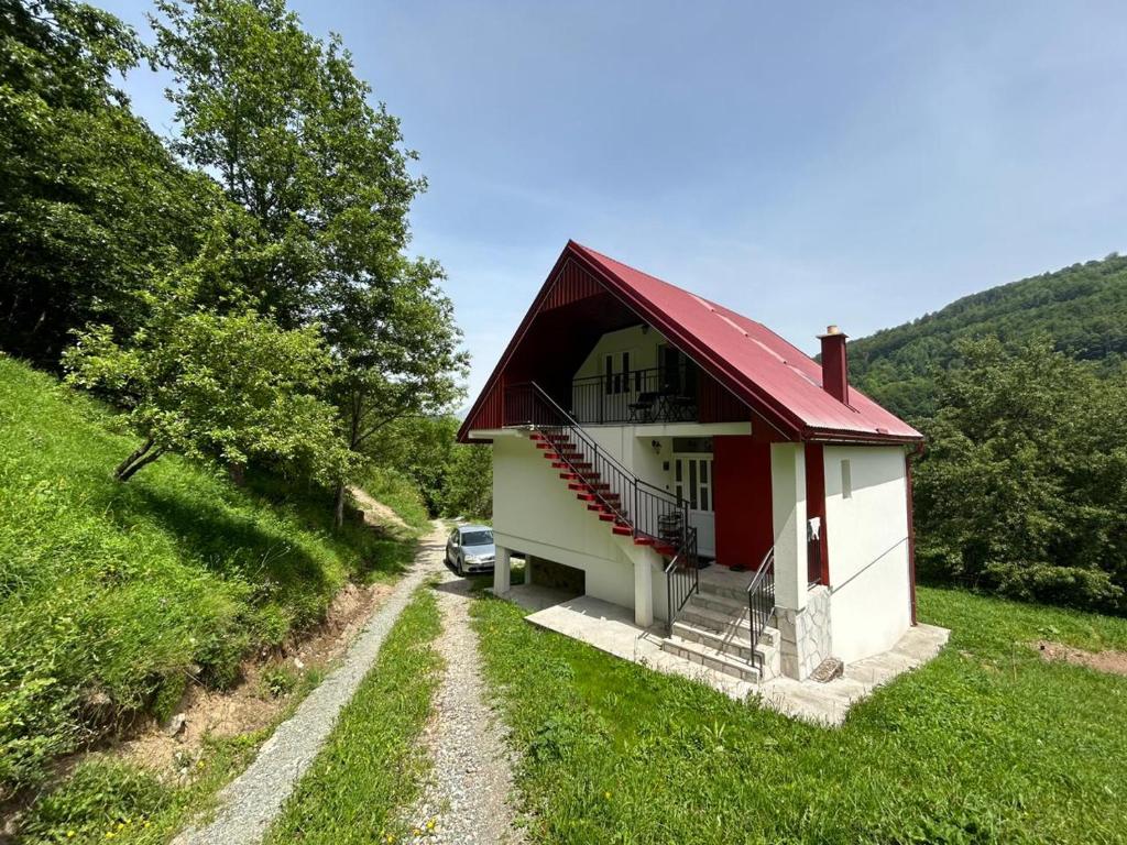 Příroda nedaleko apartmánu