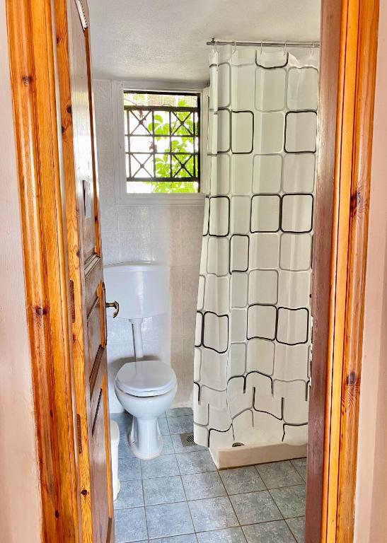 a bathroom with a toilet and a shower curtain at Betsanis Stafylos Apartments in Stafylos