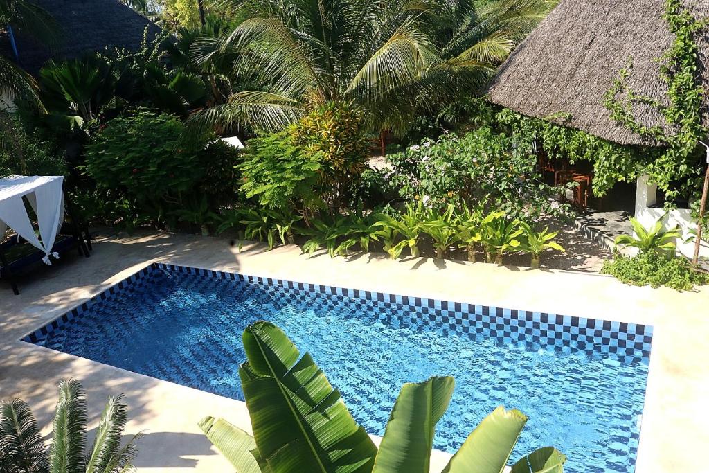 uma vista superior de uma piscina num resort em Aurora Boutique Hotel Jambiani em Jambiani