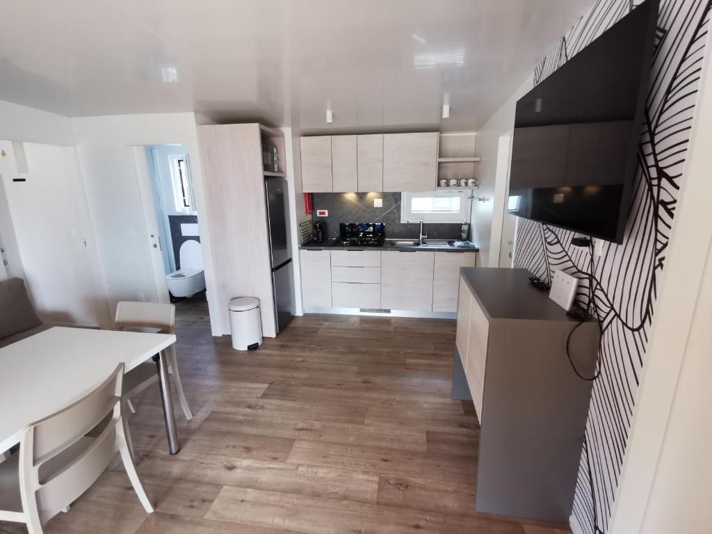 Kuchyň nebo kuchyňský kout v ubytování Mobile Home Happy Family Šimuni