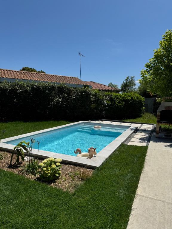a dog laying in a swimming pool in a yard at Le Lodge de l'océan - Maison familiale en bois neuve - Piscine chauffée in Biscarrosse