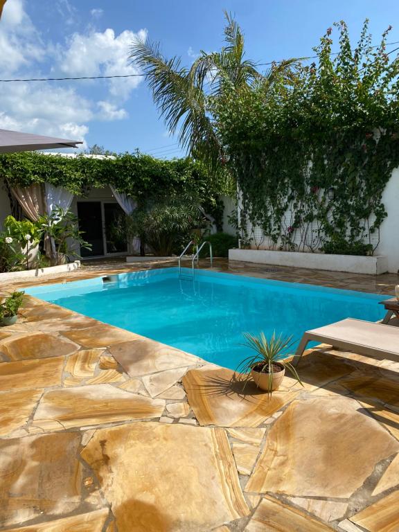 Бассейн в Cactus lodge Zanzibar или поблизости
