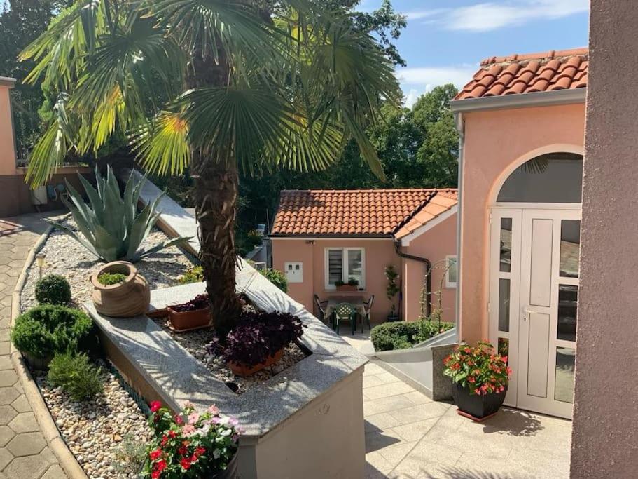 a palm tree in front of a house at Apartman Indy in Marčelji