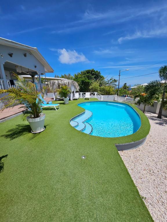 - une piscine dans une cour avec gazon dans l'établissement Villa Raven´s Paradise (Verde), à Willemstad
