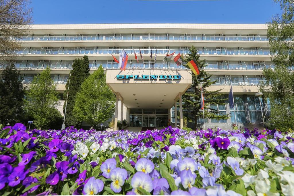 Zahrada ubytování Ensana Splendid