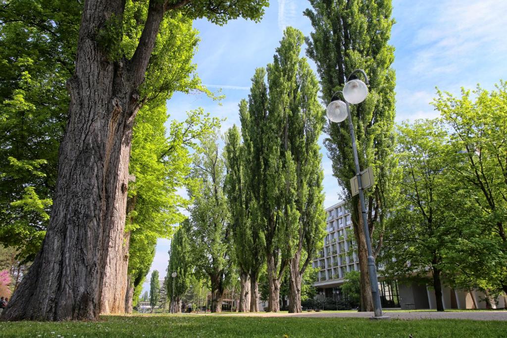 Zahrada ubytování Ensana Splendid