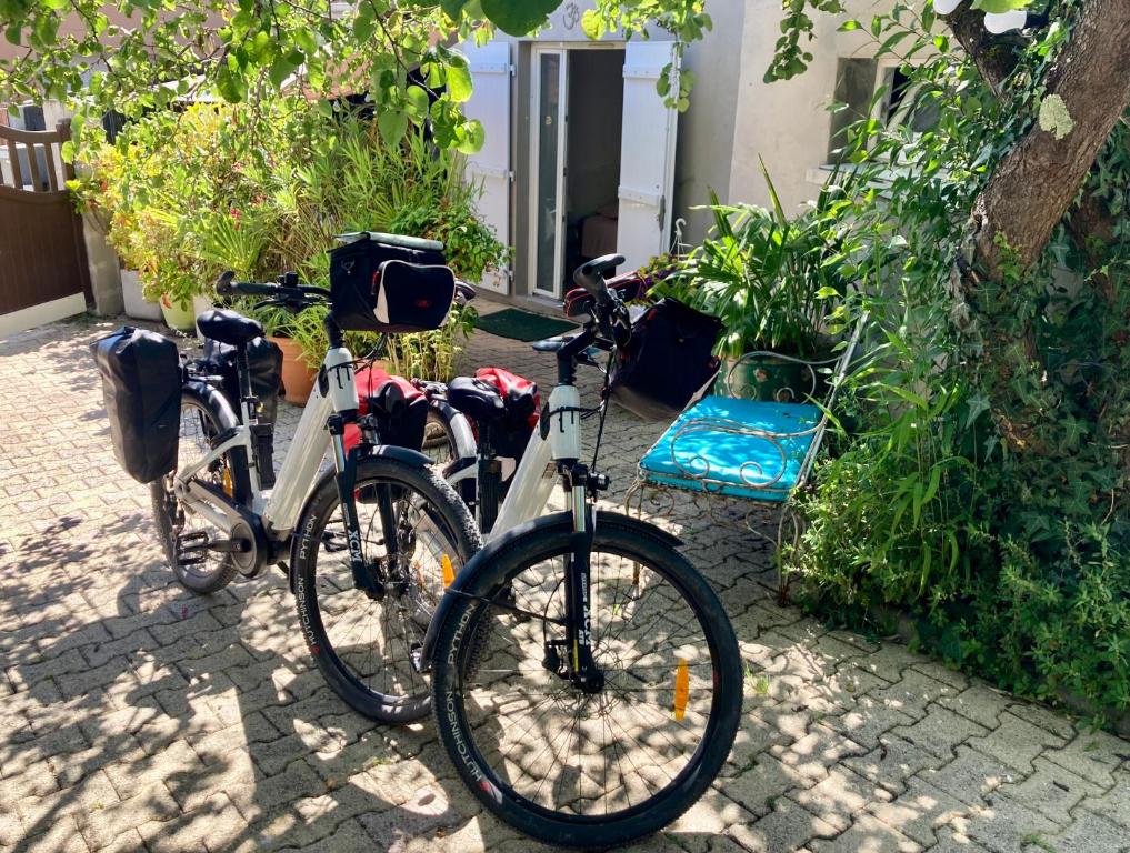 Jízda na kole v ubytování Maisonnette studio Arcachon 300m plage nebo okolí