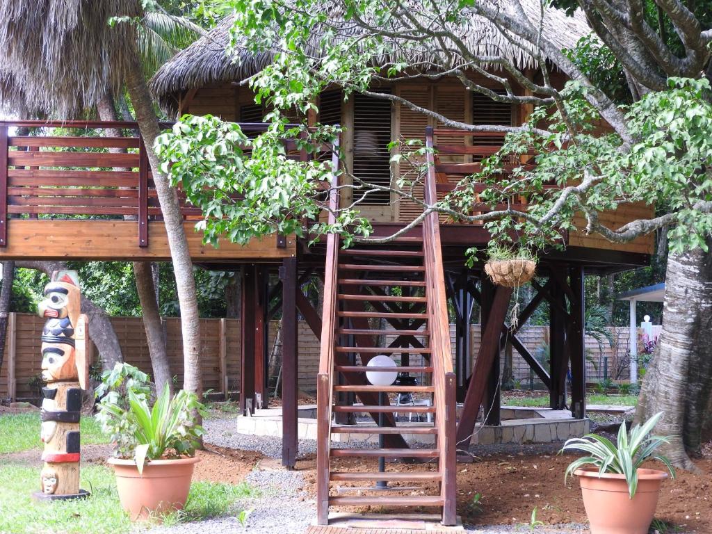 ein Baumhaus mit einer Treppe, die hinauf führt in der Unterkunft Insolite Ara Wakan / Ma cabane in Pointe-Noire