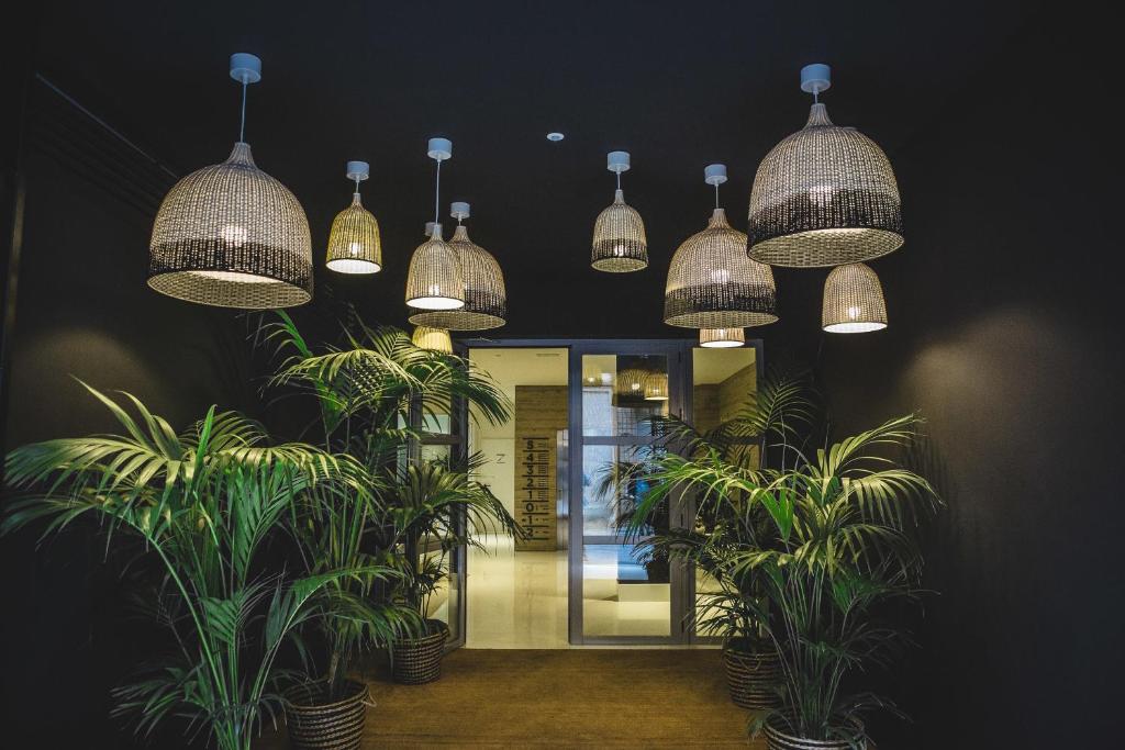 un couloir avec des plantes en pot et des lustres dans l'établissement Apartamentos Barbara 3, à Alicante