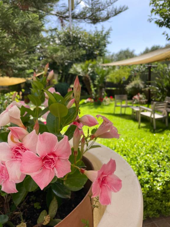 Κήπος έξω από το Hotel Residence Da Carmelo