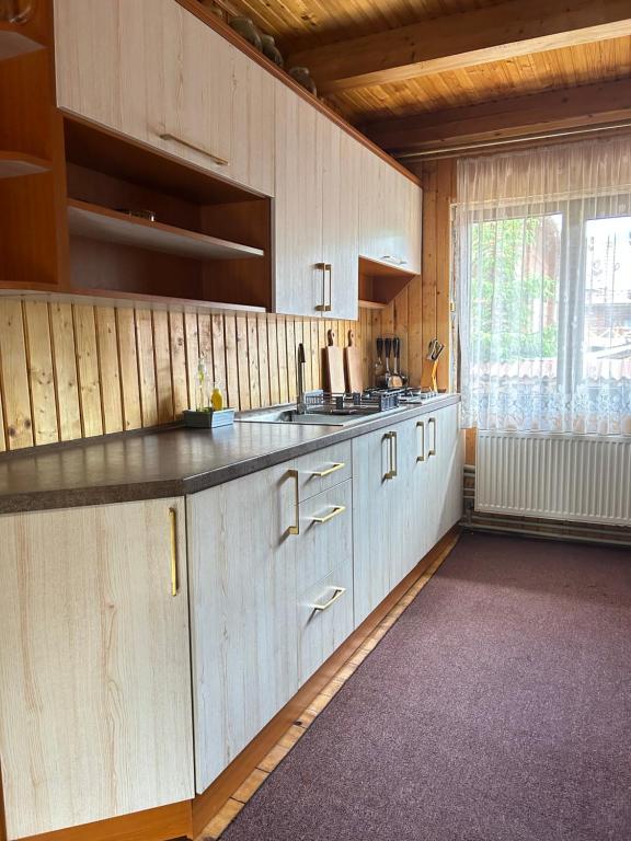 Kuchyň nebo kuchyňský kout v ubytování Guest House Kaspiy