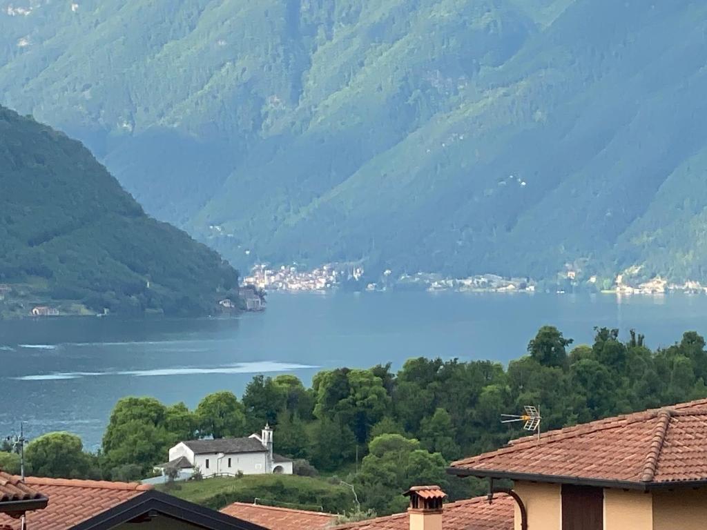 a view of a lake with mountains in the background at Cà Maria Maurela in Ossuccio
