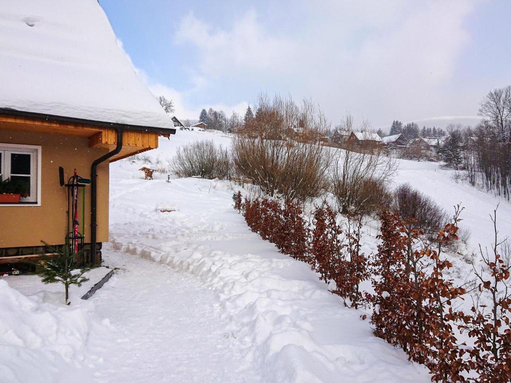 Holiday Home Chalupa U Bobra-1 by Interhome v zimě