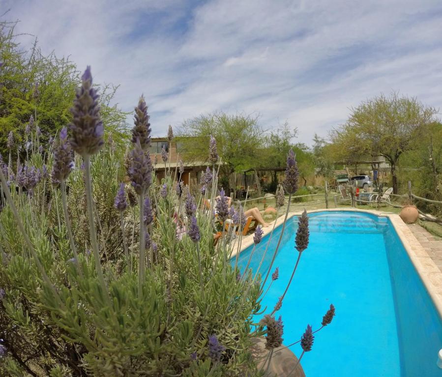 Swimmingpoolen hos eller tæt på Cabañas de Montaña Rio Amarillo