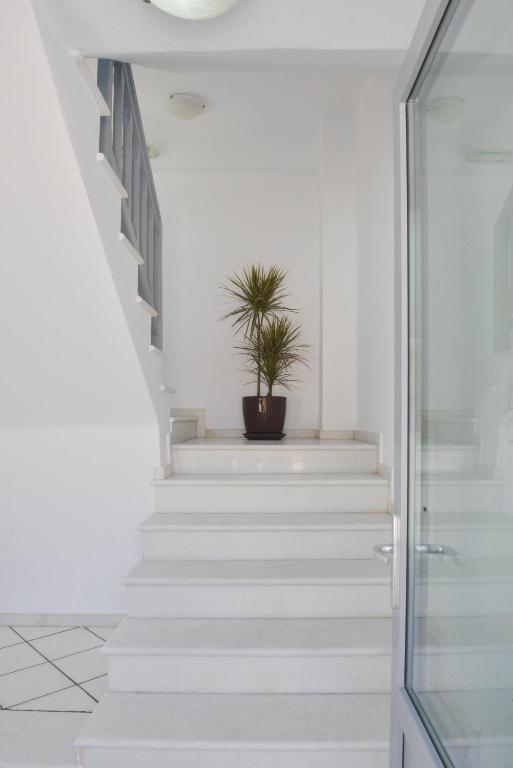 Paradise Studios - 16