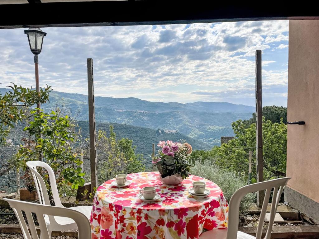 Príroda v okolí apartmánu