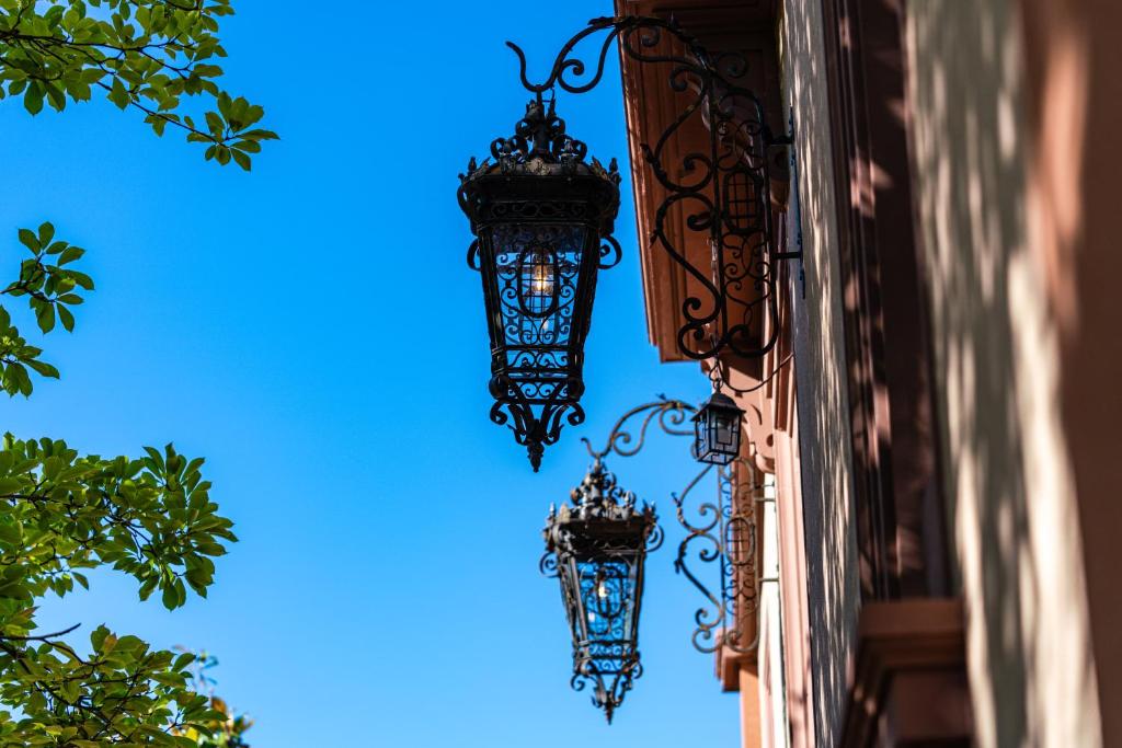 Fotografie z fotogalerie ubytování Villa Magnolia Wissembourg v destinaci Wissembourg