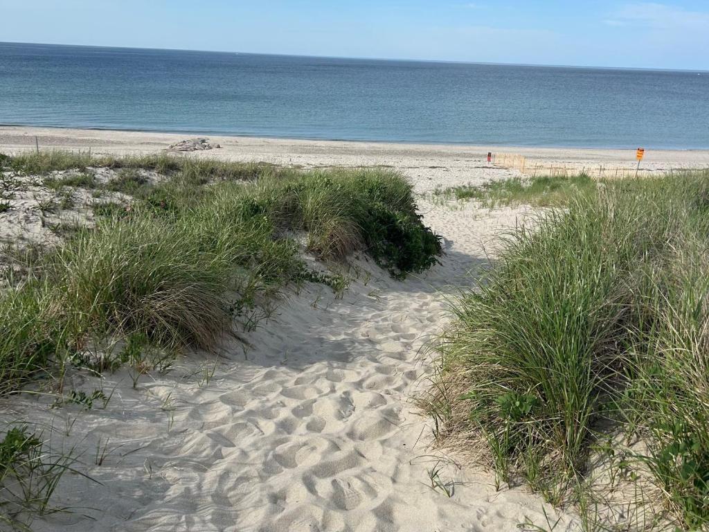 einen Sandstrand mit hoher Wiese und Meer in der Unterkunft 5 Beach Road East Sandwich - Sandy Toes & Salty Kisses in East Sandwich