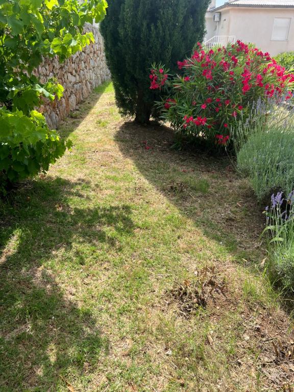 a garden with pink flowers and a stone wall at Apartment Ivanka in Senj