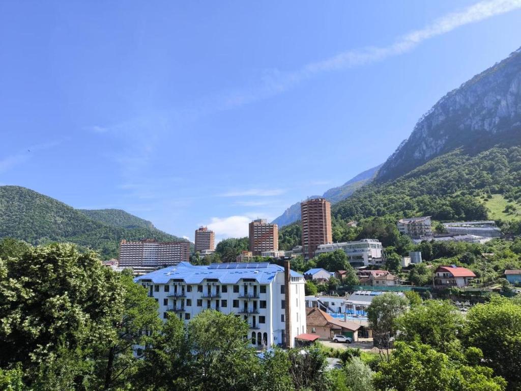 a view of a city with mountains in the background at Apartament Herculane in Băile Herculane