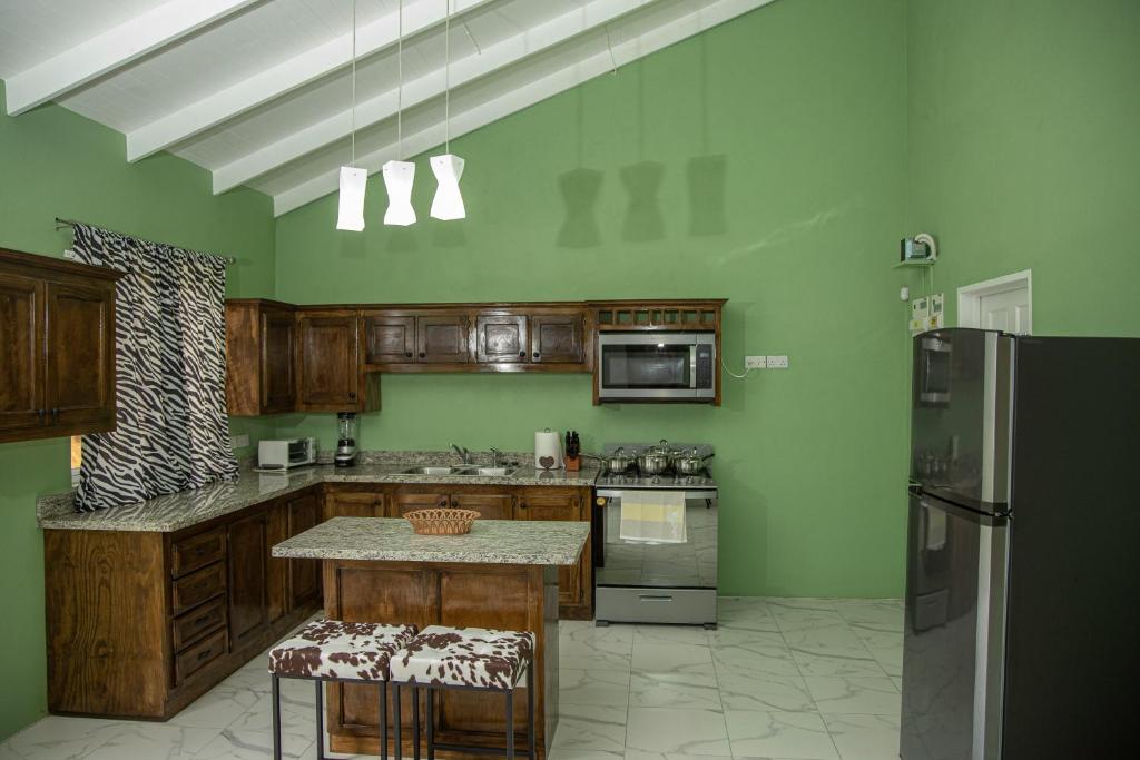 Kuchyň nebo kuchyňský kout v ubytování New 2 Bedroom Apartment in Corinth, Gros Islet, Saint Lucia
