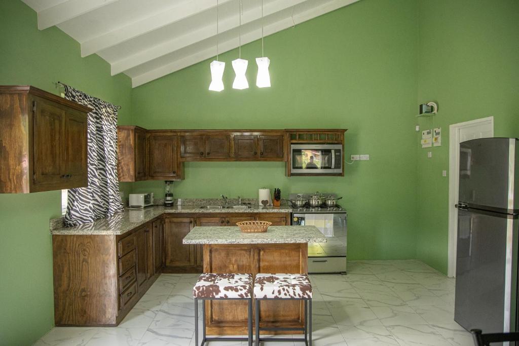 Kuchyň nebo kuchyňský kout v ubytování New 2 Bedroom Apartment in Corinth, Gros Islet, Saint Lucia