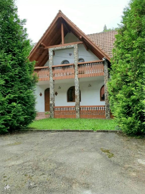 a house with a wooden roof and two trees at Vila Luca's in Cârțișoara