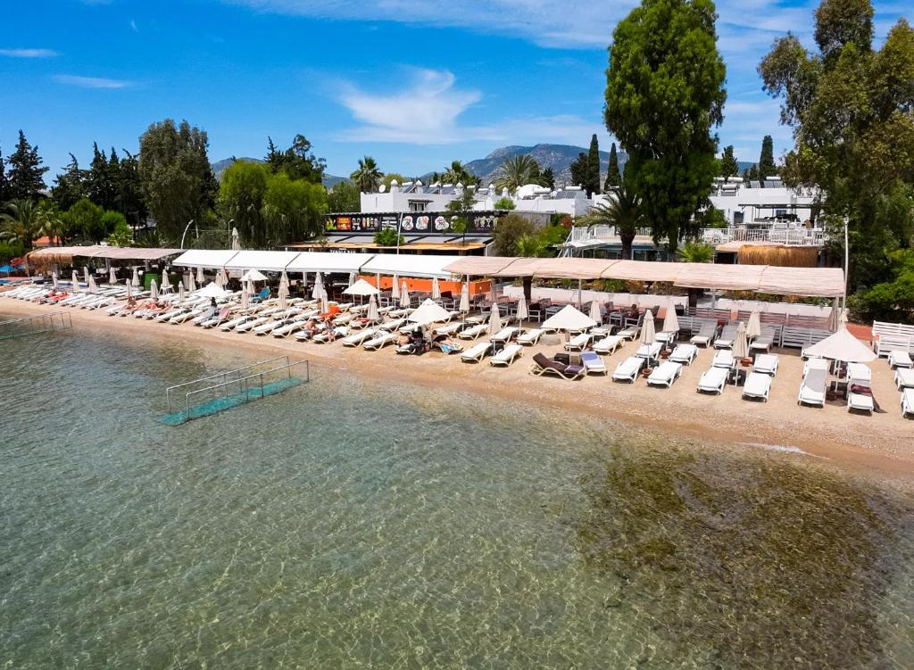 a beach with chairs and umbrellas in the water at Manuela Boutique Hotel Bitez in Bitez