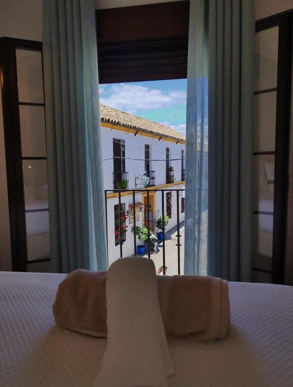 Balcón de los Patios con PARKING - 9