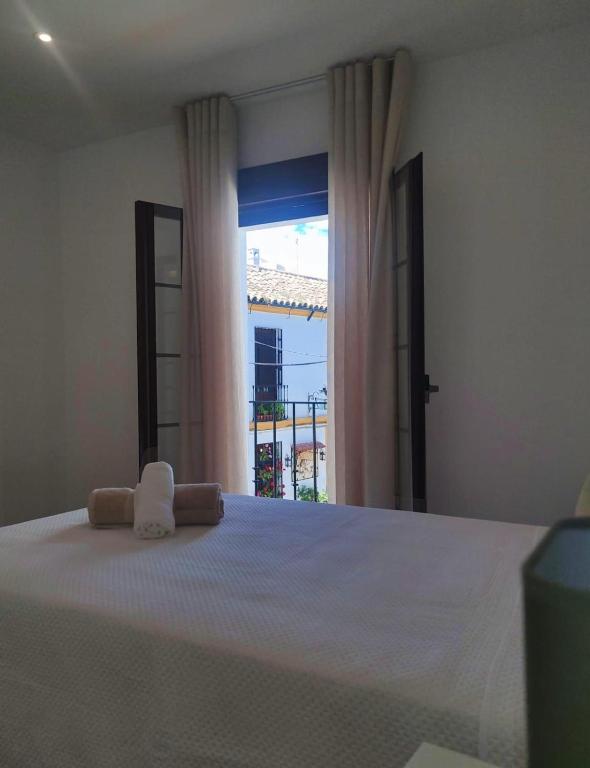 Balcón de los Patios con PARKING - 6