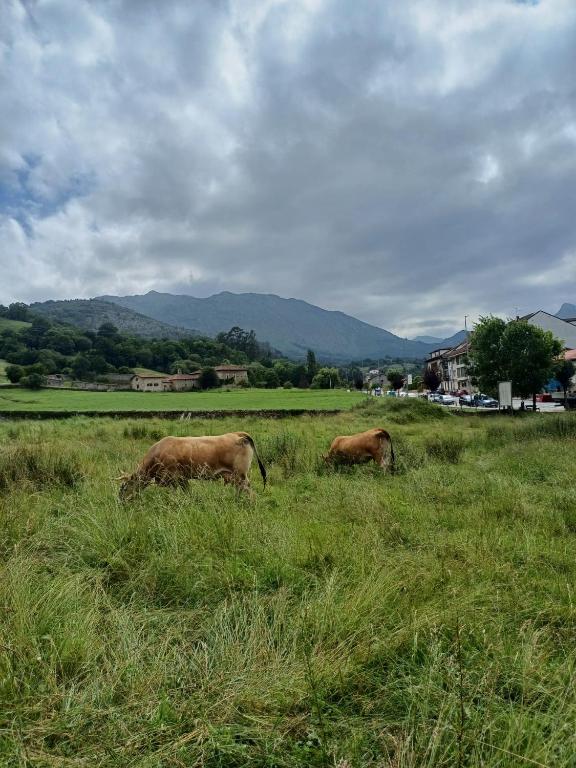 Imagen de la galería de Villa Elena, en Panes