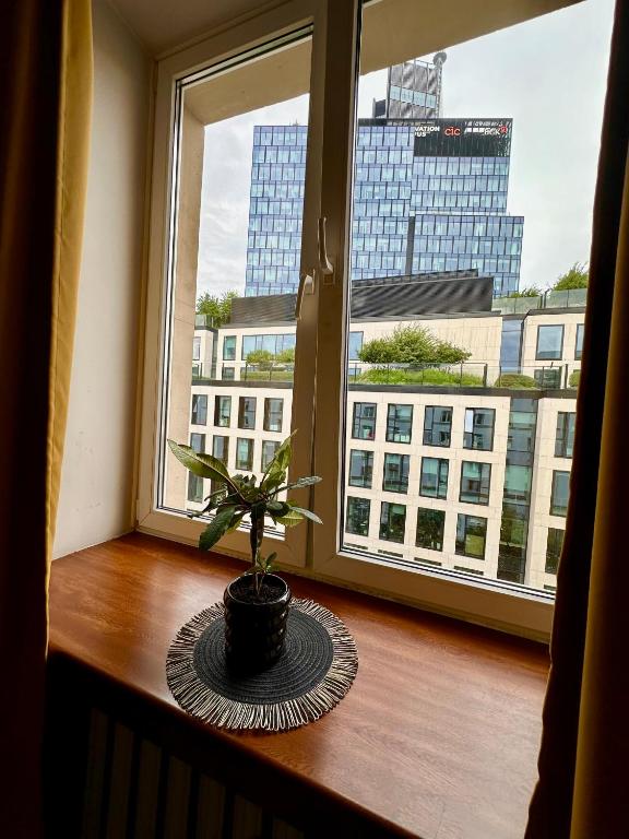 Fotografia z galérie ubytovania Africa Apartment vo Varšave