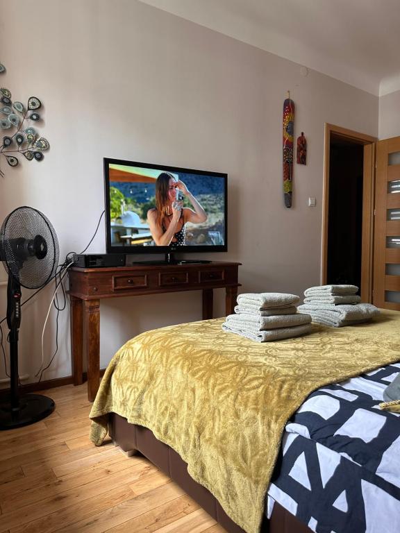 Televízia a/alebo spoločenská miestnosť v ubytovaní Africa Apartment