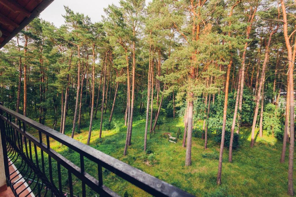 Zahrada ubytování Apartament Blue Mare Pod Wiewiórką