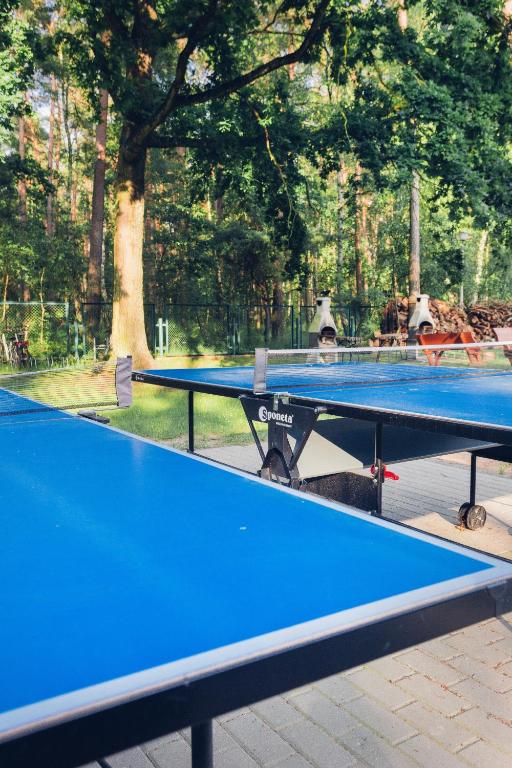 Stolní tenis v ubytování Apartament Blue Mare Pod Wiewiórką nebo okolí