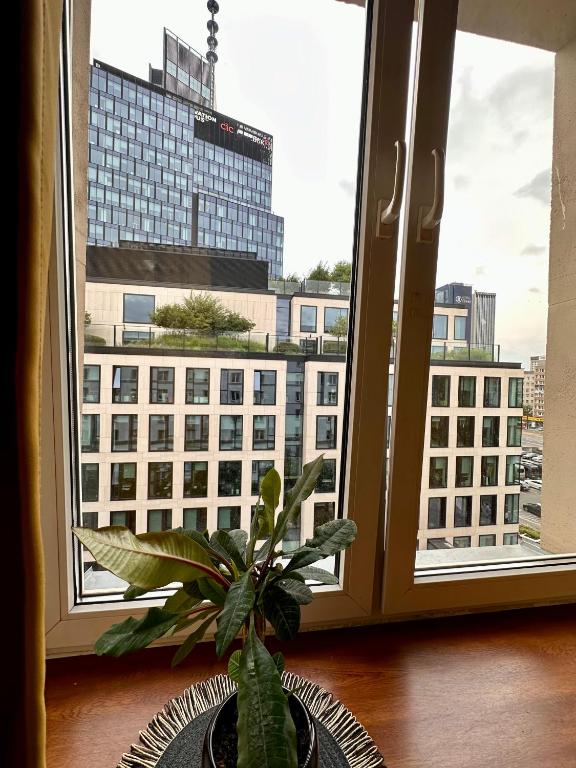 Výhľad na mesto Varšava alebo výhľad na mesto priamo z apartmánu