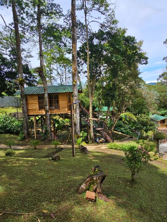 Jardín al aire libre en Cattaleya Eco