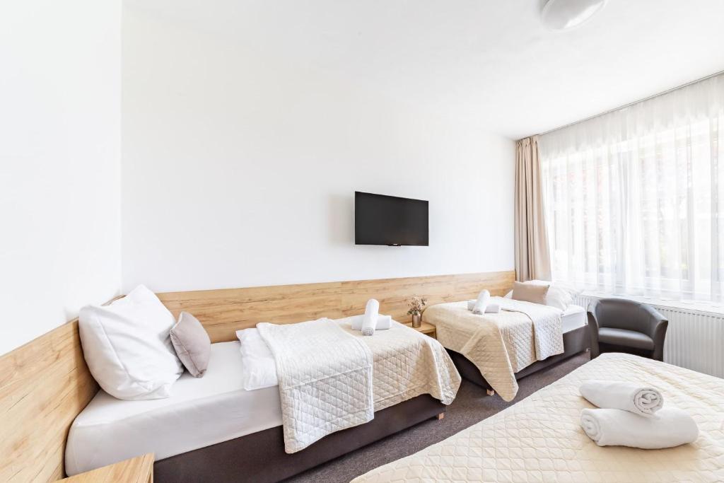 TV a/nebo společenská místnost v ubytování Hotel Sněžné