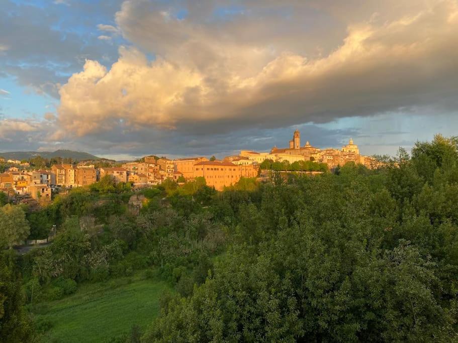 Příroda nedaleko apartmánu