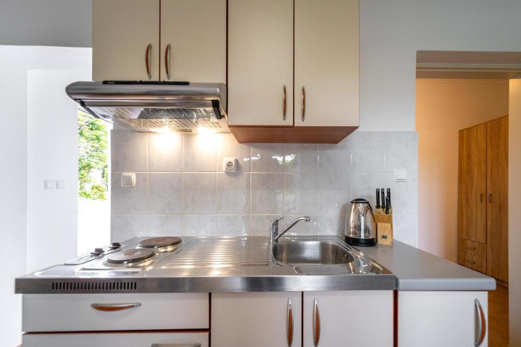 Kuchyň nebo kuchyňský kout v ubytování Apartmani Višnja