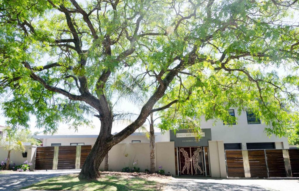 a large tree in front of a white building at Art and Accommodation Guesthouse in Cape Town