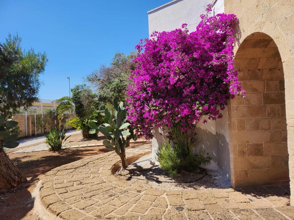 Zahrada ubytování HOTEL SoleMare Gallipoli