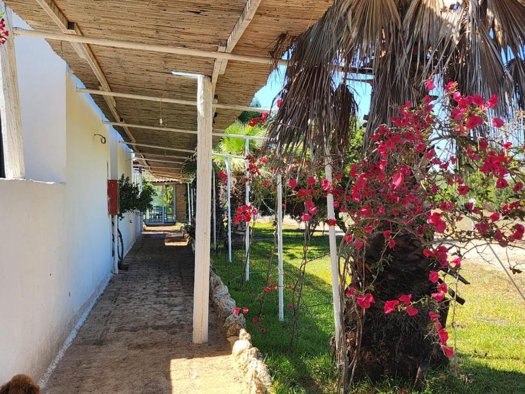 Zahrada ubytování HOTEL SoleMare Gallipoli